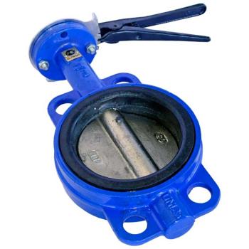 Затвор дисковый Ду200